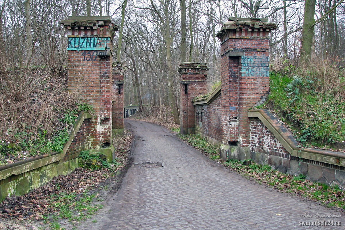 2006 canon s3is IMG 0154