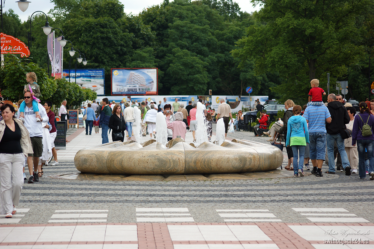 2010 sony alfa 350 DSC04493