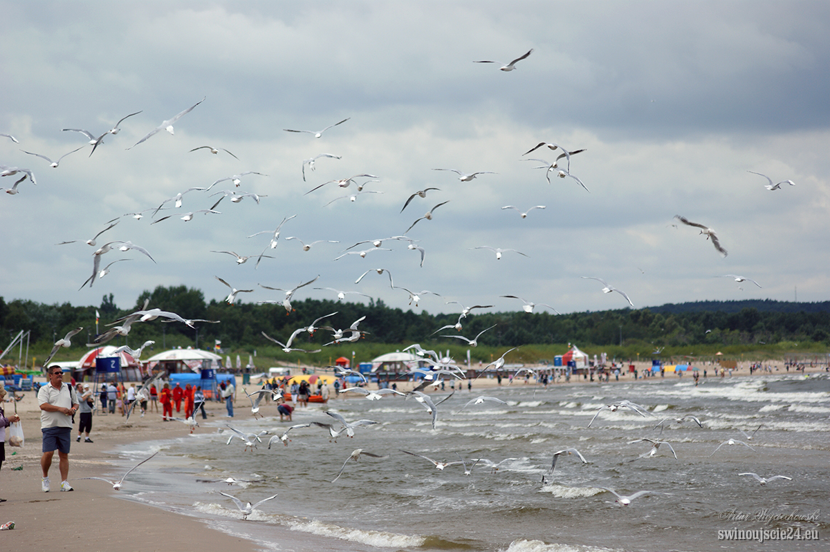 2010 sony alfa 350 DSC04526