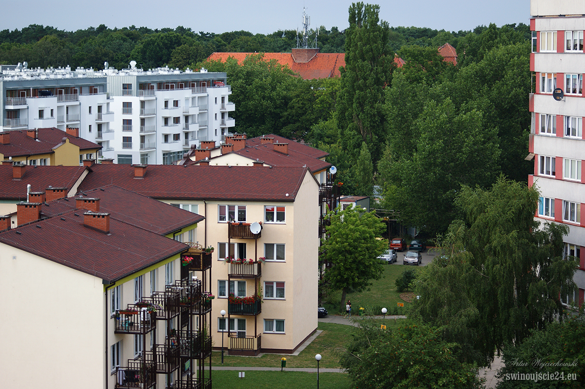 2010 sony alfa 350 DSC04666