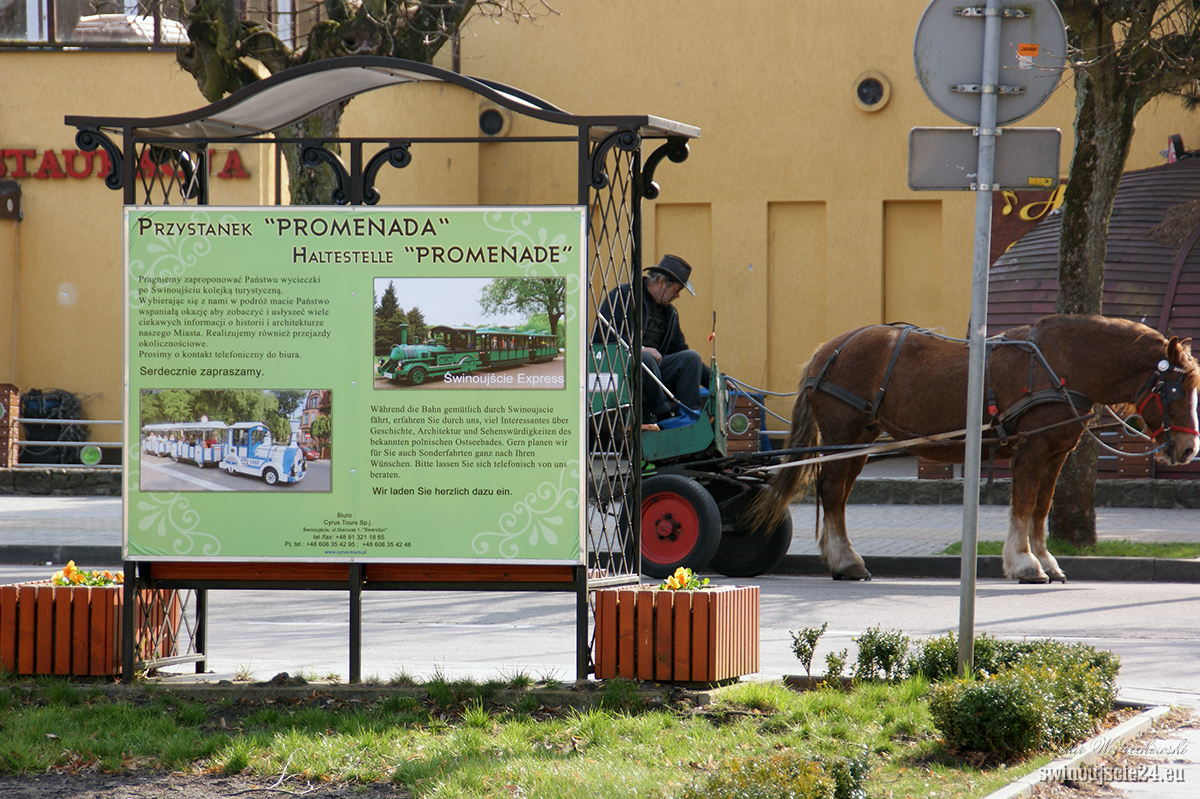 2012 sony alfa 350 DSC00813