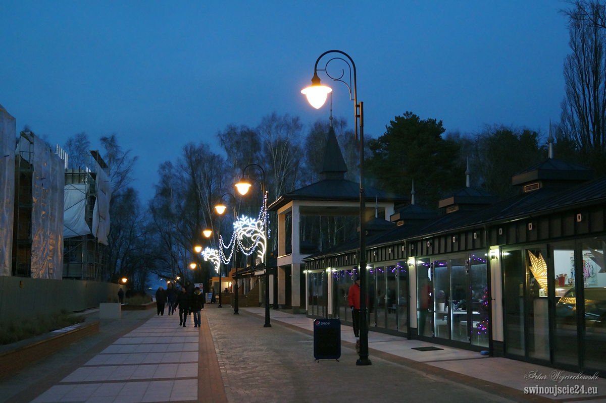 2014 sony alfa 58 DSC01948