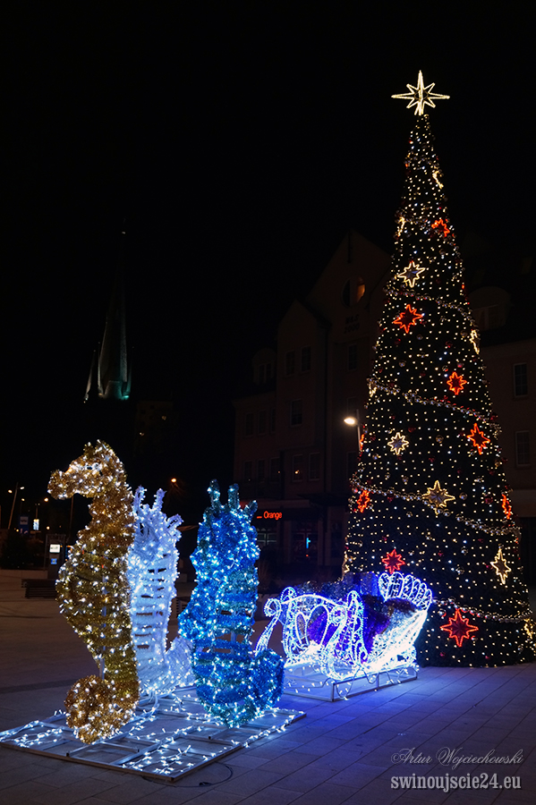 2014 sony alfa 58 DSC02103