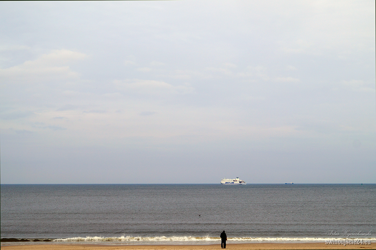 2015 sony alfa 58 DSC02875