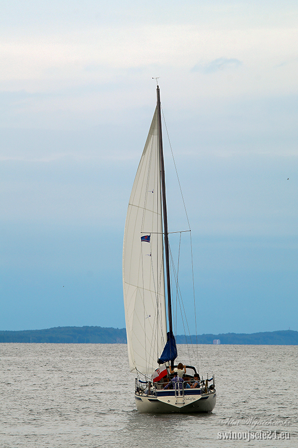 2016 sony alfa 58 DSC07667